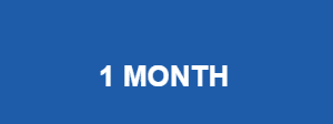 1 month subscription